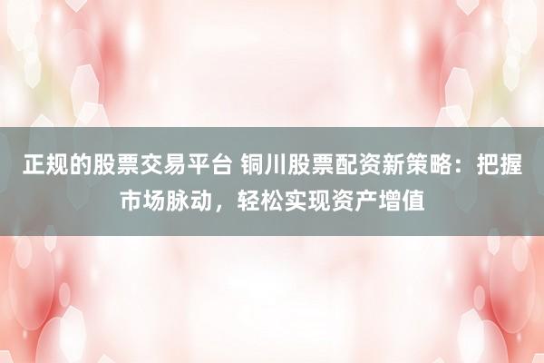 正规的股票交易平台 铜川股票配资新策略：把握市场脉动，轻松实现资产增值