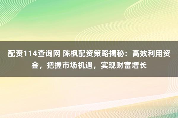配资114查询网 陈枫配资策略揭秘：高效利用资金，把握市场机遇，实现财富增长