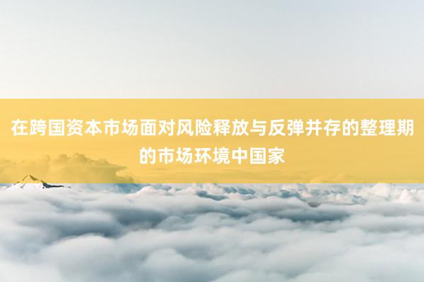 在跨国资本市场面对风险释放与反弹并存的整理期的市场环境中国家