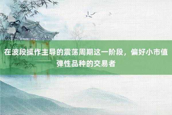 在波段操作主导的震荡周期这一阶段，偏好小市值弹性品种的交易者