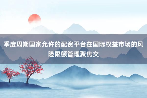 季度周期国家允许的配资平台在国际权益市场的风险限额管理聚焦交