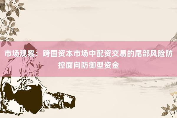 市场观察：跨国资本市场中配资交易的尾部风险防控面向防御型资金