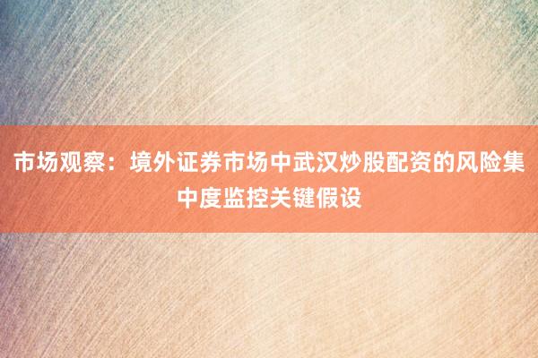 市场观察：境外证券市场中武汉炒股配资的风险集中度监控关键假设