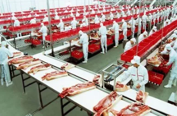 肉类食品加工厂污水处理设备
